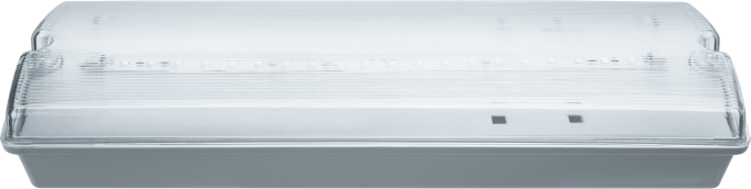 Аварийный светильник Navigator NEF-07 (IP65) 176-264B, 3 ч. IP65 (постоянный/непостоянный)