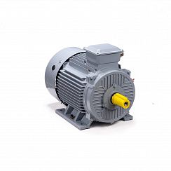 Электродвигатель ESQ PR 250 M4 GST-Б1-S12-IE2 90/1500 IM1001