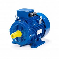 Эл.двигатель ESQ 112 M2-GST-HT-H 7.6/3000 IM 1081