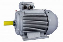 Электродвигатель ESQ PR 315 S4-SDN-Б1-S12-IE3 110/1500 IMB3