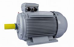 Электродвигатель ESQ PR 315 M2-SDN-Б1-S12-IE3 132/3000 IMB3