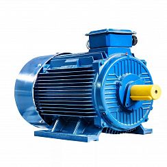 Электродвигатель 5АИ 355 MLD2 500/3000 IM1001