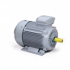 Электродвигатель ESQ PR 280 M4-SDN-Б1-S12-IE3 90/1500 IMB3