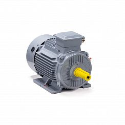 Электродвигатель ESQ PR 132 M4 GST-Б3-S12-IE2 230/400V 11/1500 IM1081