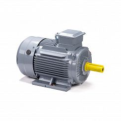 Электродвигатель ESQ PR 160 S4 GST-Б1-S12-IE2 15/1500 IM2001