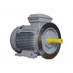 Электродвигатель ESQ PR 160 L2-SDN-Б1-S12-IE3 18,5/3000 IMB35