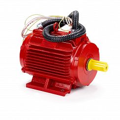 Электродвигатель ESQ 3,2-FR-400C-2hR 3/3000 IM1081