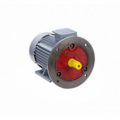 Электродвигатель ESQ PR 200 M4 GST-Б1-S12-IE2 37/1500 IM2001