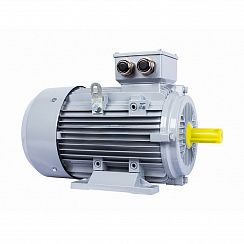Электродвигатель ESQ PR 100 LB4-SDN-Б1-S12-IE2 3/1500 IMB3